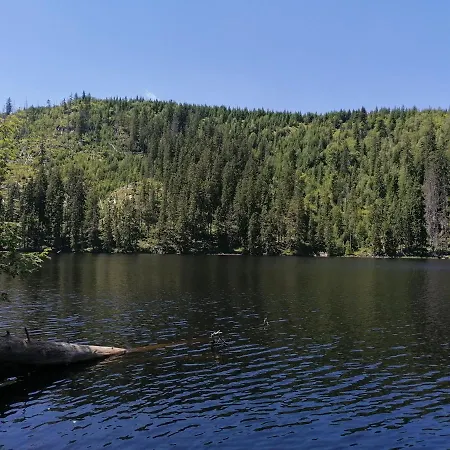 Crusilla Daire Langdorf (Regen)