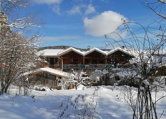 Crusilla Appartement Langdorf (Regen)